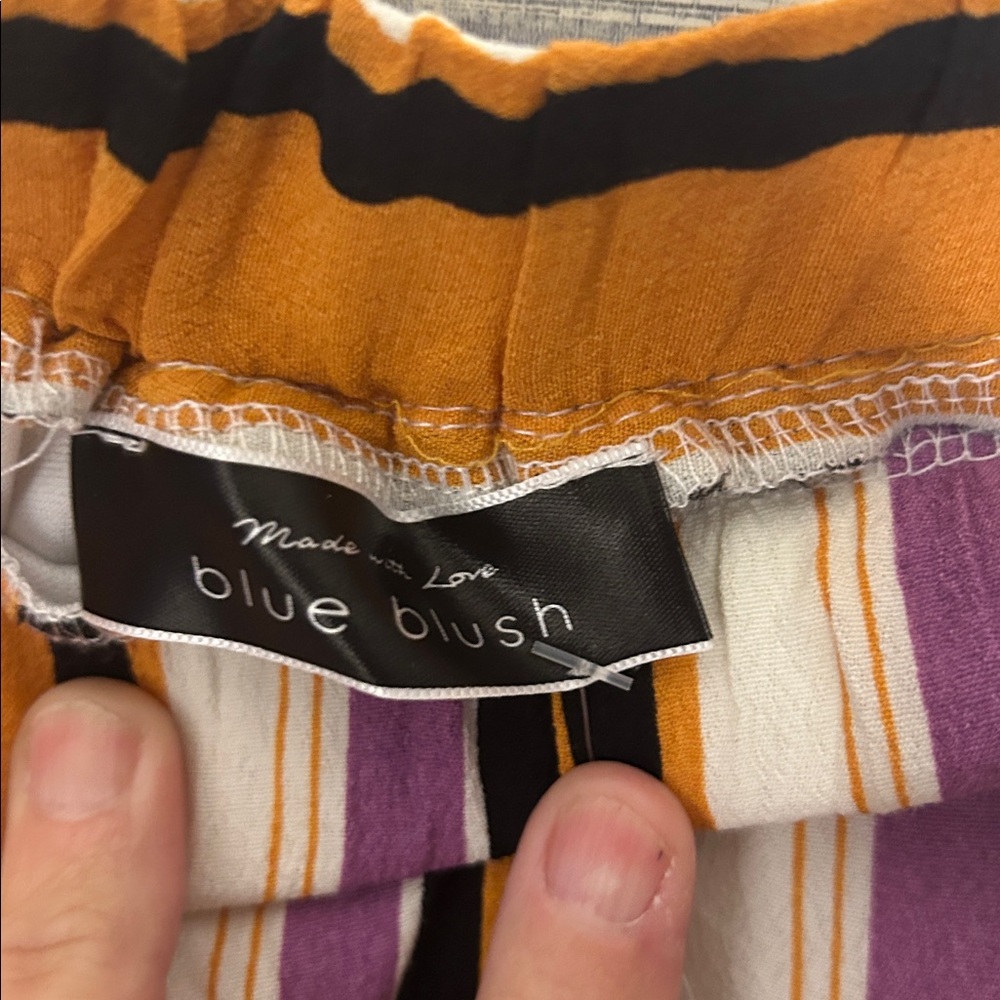 Blue Blush Multicolor Striped Pants Size L (112) - Picture 2 of 5